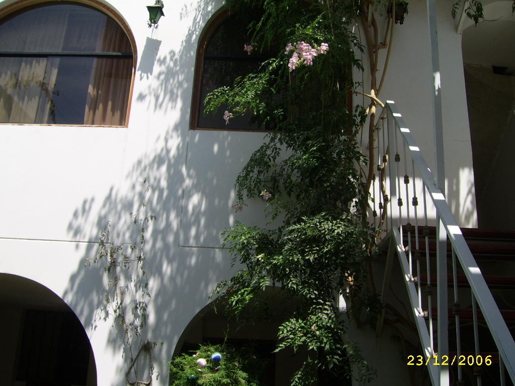 Hostal Camiluz Nazca Zewnętrze zdjęcie