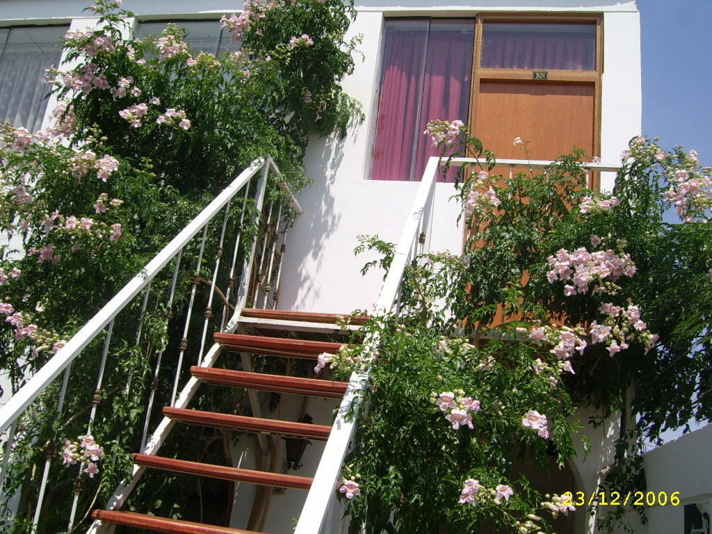 Hostal Camiluz Nazca Zewnętrze zdjęcie