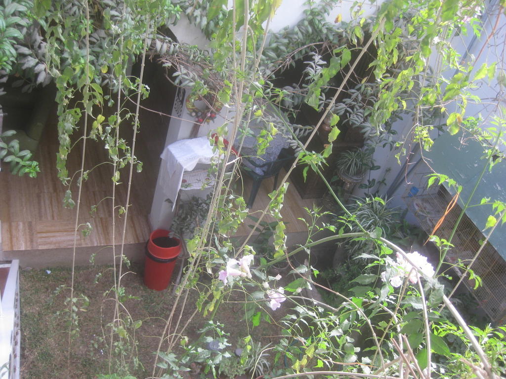 Hostal Camiluz Nazca Zewnętrze zdjęcie